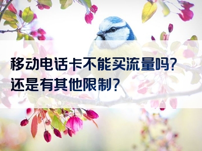 移动电话卡不能买流量吗？还是有其他限制？