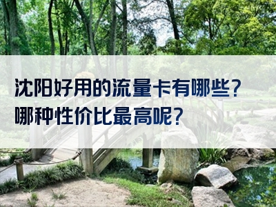 沈阳好用的流量卡有哪些？哪种性价比最高呢？