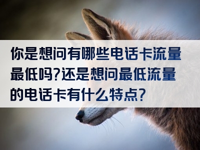你是想问有哪些电话卡流量最低吗？还是想问最低流量的电话卡有什么特点？