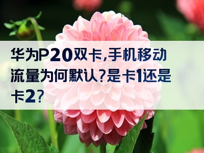 华为P20双卡，手机移动流量为何默认？是卡1还是卡2？