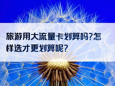 旅游用大流量卡划算吗？怎样选才更划算呢？