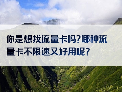 你是想找流量卡吗？哪种流量卡不限速又好用呢？