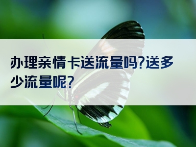 办理亲情卡送流量吗？送多少流量呢？