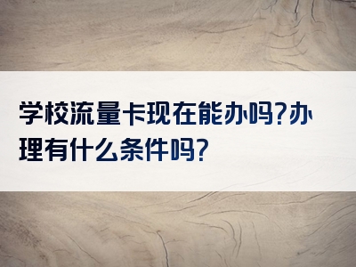 学校流量卡现在能办吗？办理有什么条件吗？