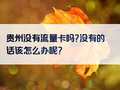 贵州没有流量卡吗？没有的话该怎么办呢？