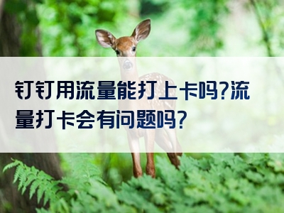 钉钉用流量能打上卡吗？流量打卡会有问题吗？