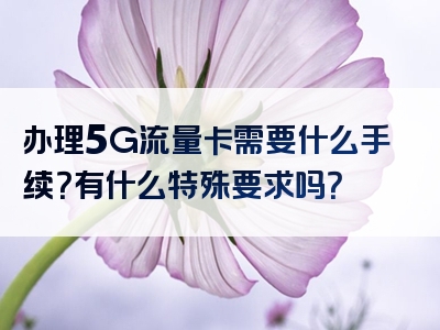 办理5G流量卡需要什么手续？有什么特殊要求吗？
