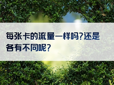 每张卡的流量一样吗？还是各有不同呢？