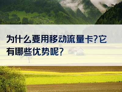 为什么要用移动流量卡？它有哪些优势呢？