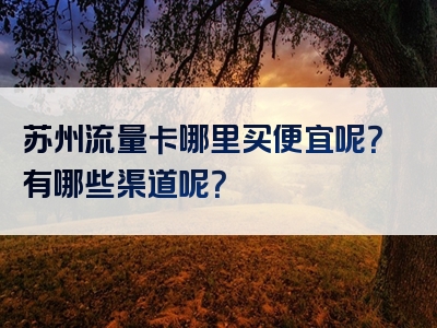 苏州流量卡哪里买便宜呢？有哪些渠道呢？