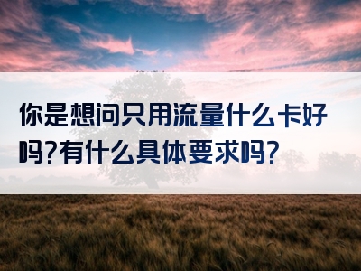 你是想问只用流量什么卡好吗？有什么具体要求吗？