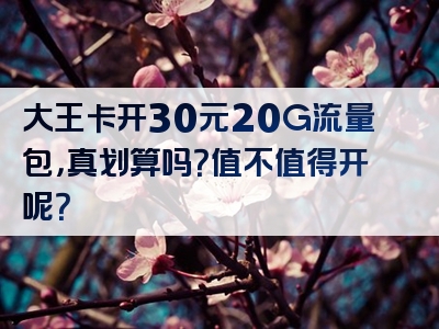 大王卡开30元20G流量包，真划算吗？值不值得开呢？