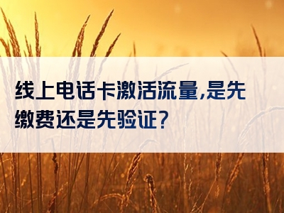 线上电话卡激活流量，是先缴费还是先验证？