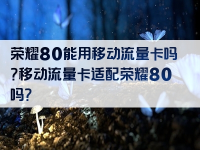 荣耀80能用移动流量卡吗？移动流量卡适配荣耀80吗？