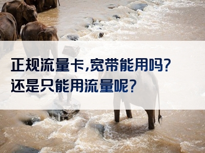 正规流量卡，宽带能用吗？还是只能用流量呢？