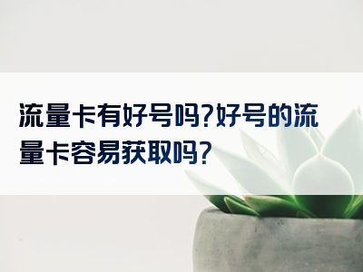 流量卡有好号吗？好号的流量卡容易获取吗？