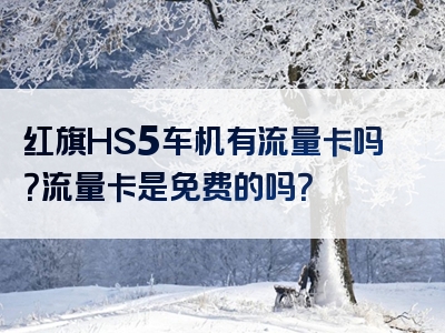 红旗HS5车机有流量卡吗？流量卡是免费的吗？