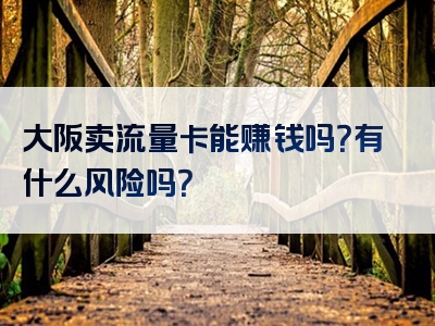 大阪卖流量卡能赚钱吗？有什么风险吗？
