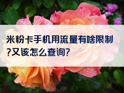 米粉卡手机用流量有啥限制？又该怎么查询？