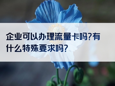 企业可以办理流量卡吗？有什么特殊要求吗？