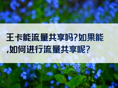 王卡能流量共享吗？如果能，如何进行流量共享呢？