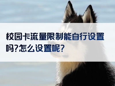 校园卡流量限制能自行设置吗？怎么设置呢？