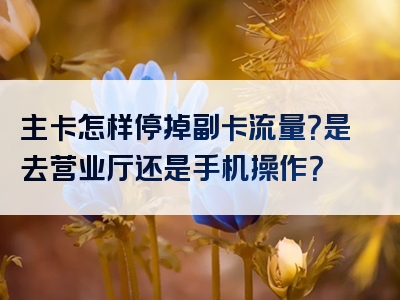 主卡怎样停掉副卡流量？是去营业厅还是手机操作？
