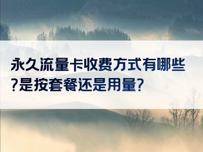 永久流量卡收费方式有哪些？是按套餐还是用量？