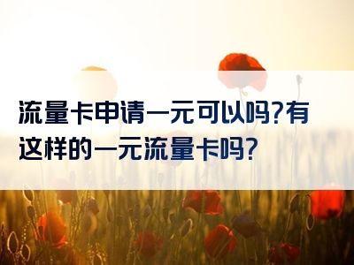 流量卡申请一元可以吗？有这样的一元流量卡吗？