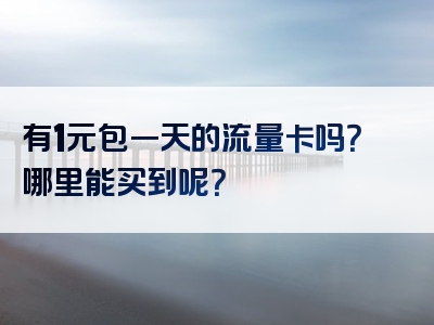有1元包一天的流量卡吗？哪里能买到呢？