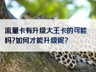 流量卡有升级大王卡的可能吗？如何才能升级呢？
