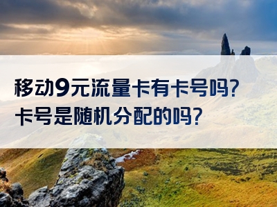 移动9元流量卡有卡号吗？卡号是随机分配的吗？