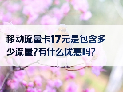 移动流量卡17元是包含多少流量？有什么优惠吗？