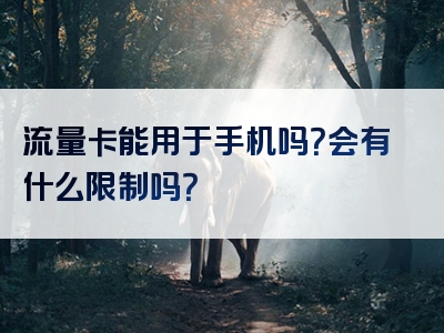 流量卡能用于手机吗？会有什么限制吗？