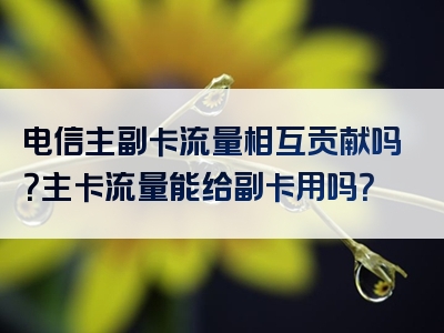 电信主副卡流量相互贡献吗？主卡流量能给副卡用吗？