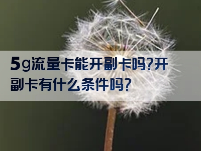 5g流量卡能开副卡吗？开副卡有什么条件吗？