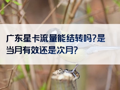 广东星卡流量能结转吗？是当月有效还是次月？